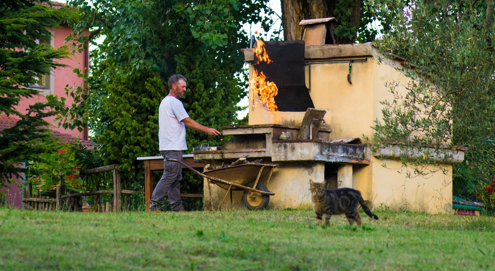 Il focolare acceso a Podere Luisa, con il gatto di casa in primo piano